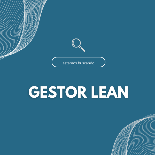 <strong>Gestor Lean </strong>